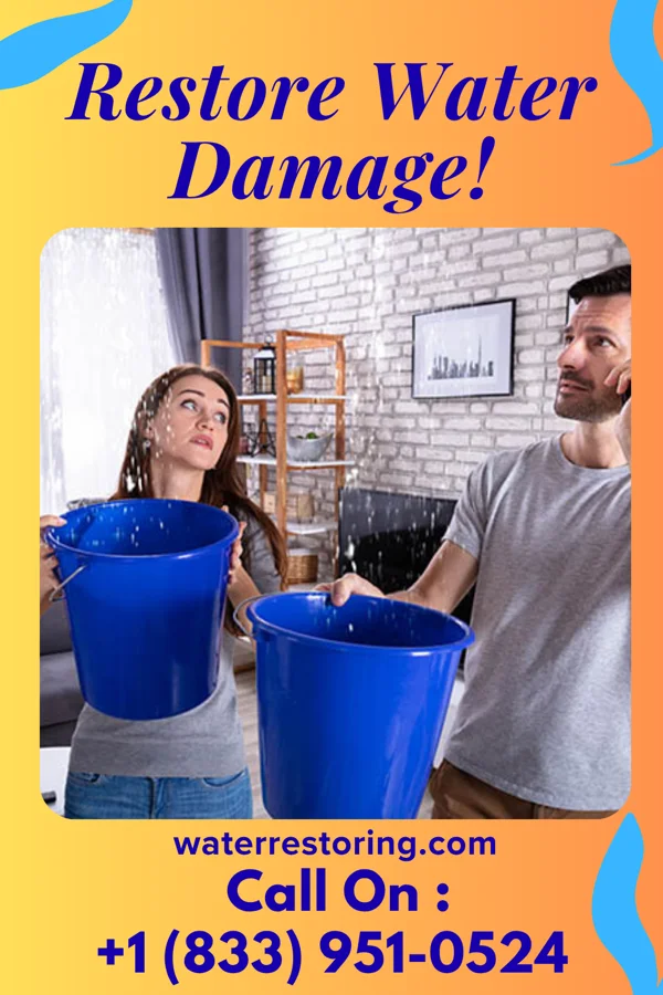 water restoration Sentinel Damage Recovery Authority Deerfield